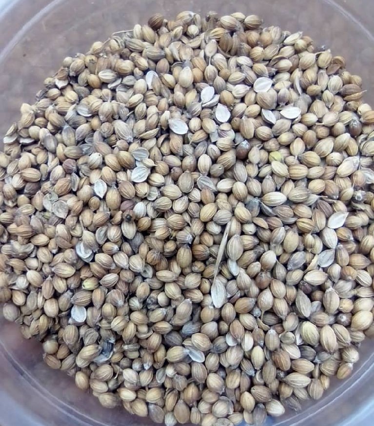 giligilani