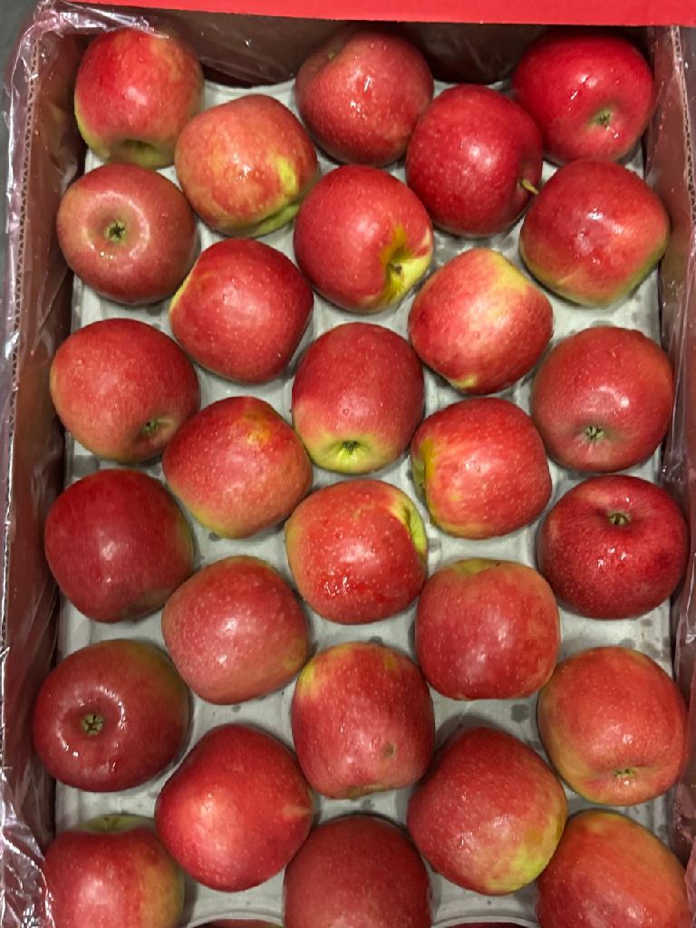 apple crisp pink  per box