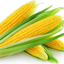 Mahindi