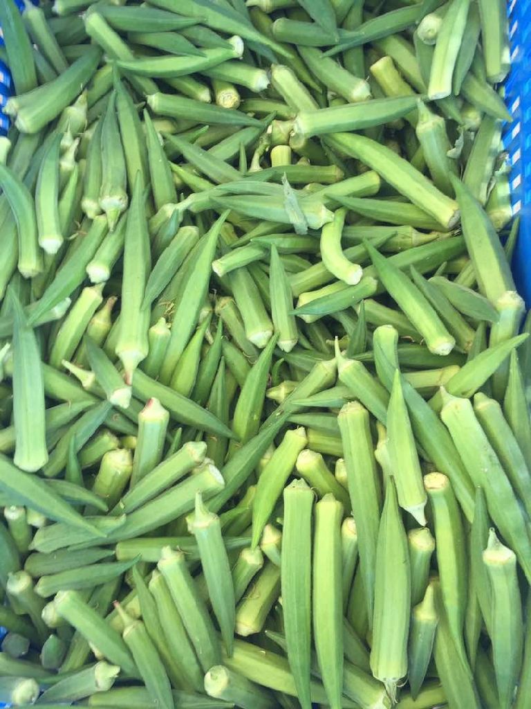 best okra available  par kg