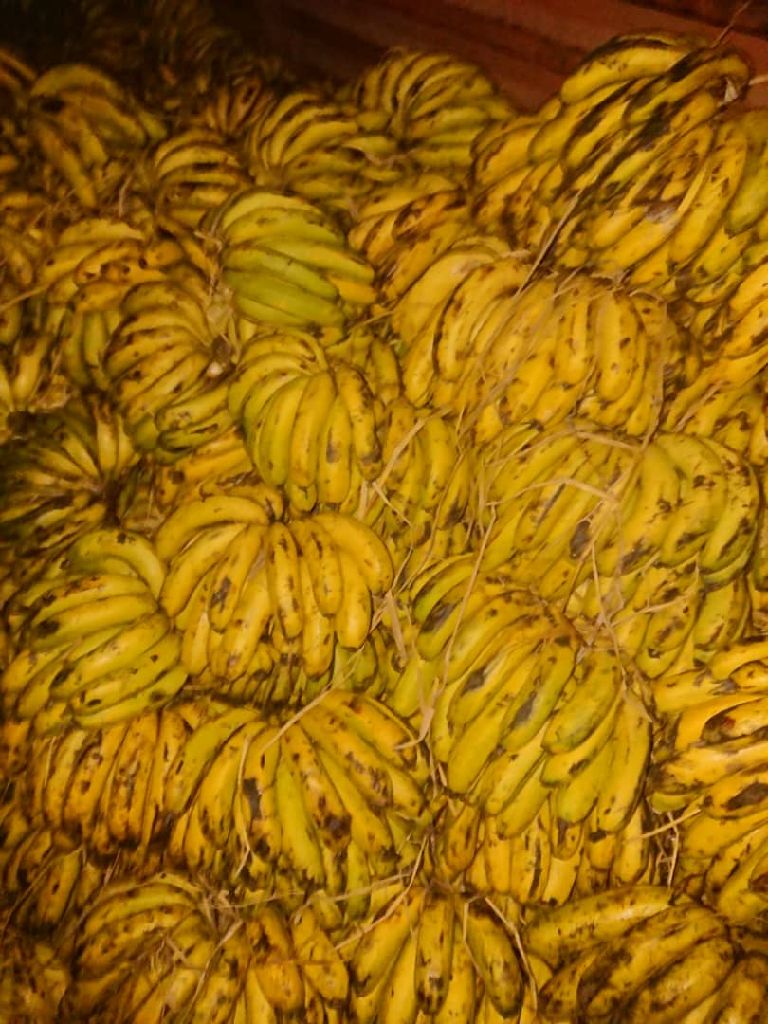NDIZI