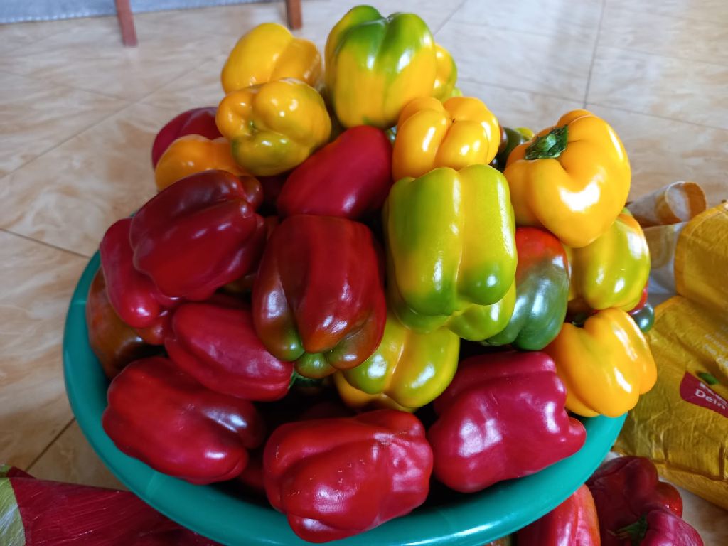 red pepper and  yellow