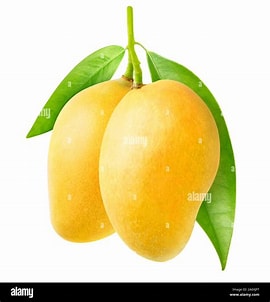 Mangoes